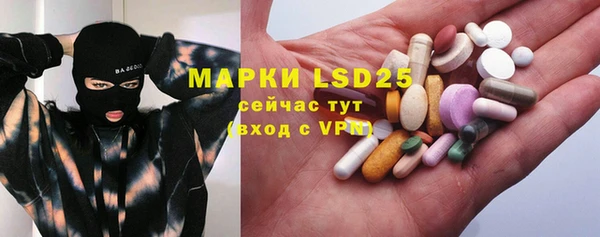 шишки Арсеньев