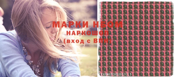 шишки Арсеньев
