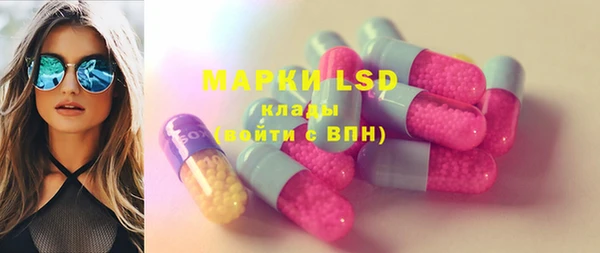 шишки Арсеньев