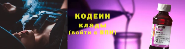 шишки Арсеньев
