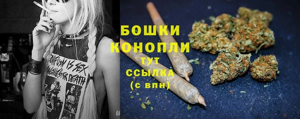 шишки Арсеньев