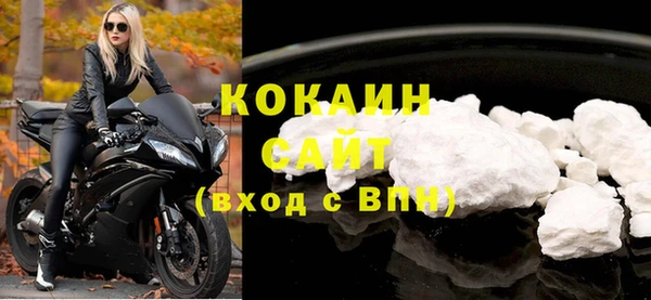 шишки Арсеньев