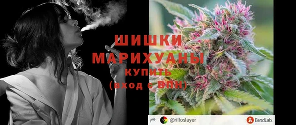шишки Арсеньев